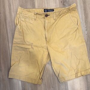 American Eagle Outfitters Tan Flat Front Shorts Lightweight